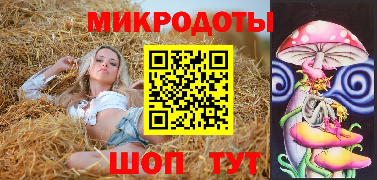 Псилоцибиновые грибы Cubensis Строитель