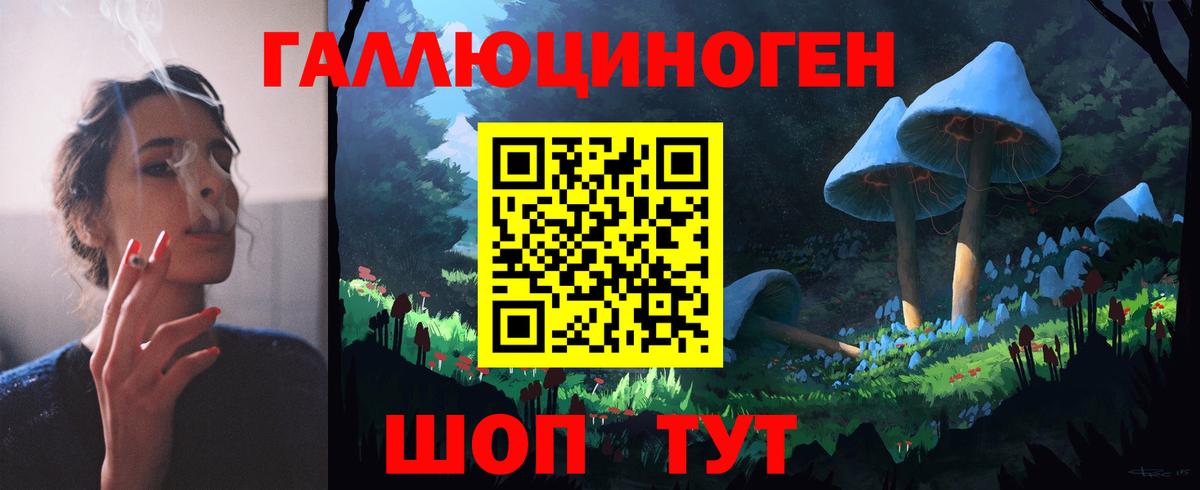 Строитель  Галлюциногенные грибы Cubensis  Вход с VPN 